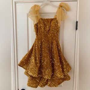 Velvet and Gold Sequin Dress